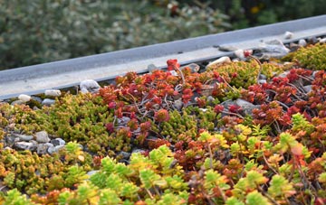 the cost of Saughall Massie green roof installation
