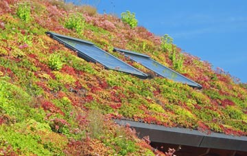 Saughall Massie living roof systems